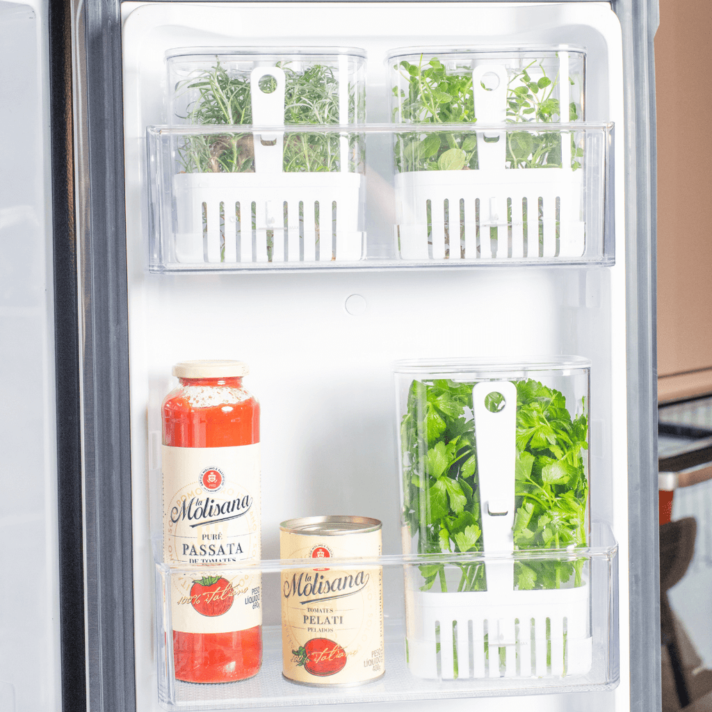 Tarro Organizador para Especias Frescas de 2,3 Litros