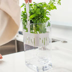 Tarro Organizador para Especias Frescas de 2,3 Litros