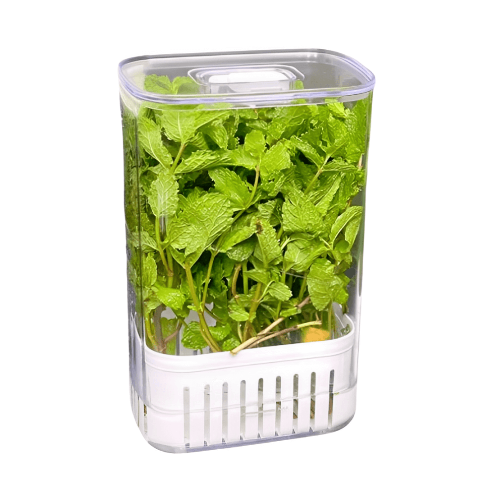 Tarro Organizador para Especias Frescas de 2,3 Litros